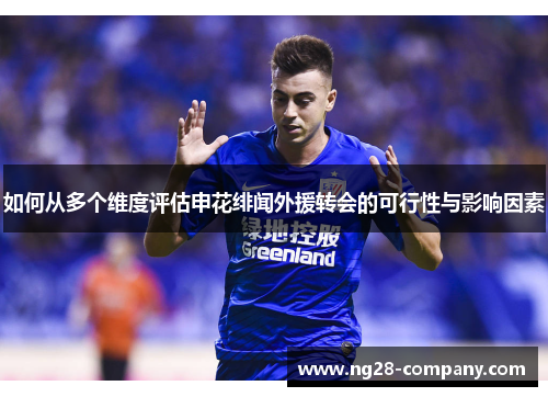 如何从多个维度评估申花绯闻外援转会的可行性与影响因素