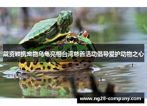 戴资颖携宠物乌龟亮相台湾慈善活动倡导爱护动物之心