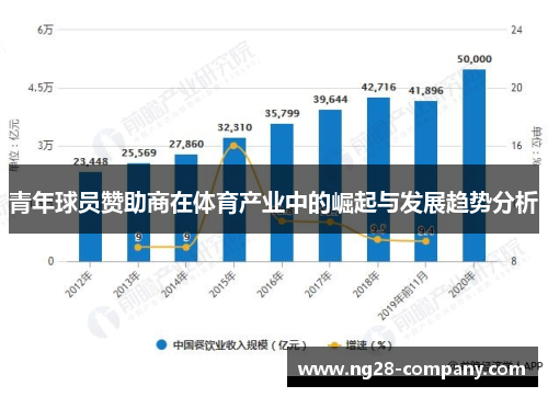青年球员赞助商在体育产业中的崛起与发展趋势分析