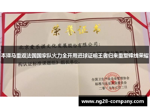 本泽马重返法国国家队火力全开用进球证明王者归来重塑锋线荣耀